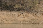 safrica_13_image7.jpg